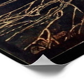 Poster Chouette de nuit vintage Rackham (Coin)