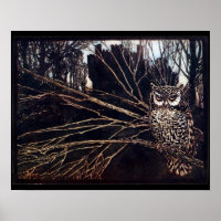 Chouette de nuit vintage Rackham