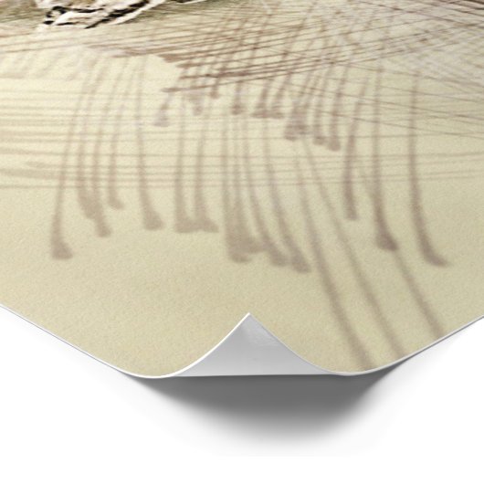 Poster Chouette de vol (Coin)