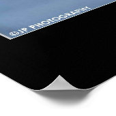 Poster Chouette des neiges (Coin)