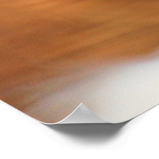 Poster Chouette des neiges (Coin)