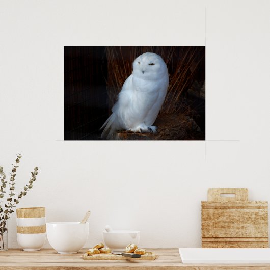 Poster Chouette des neiges (Cuisine)