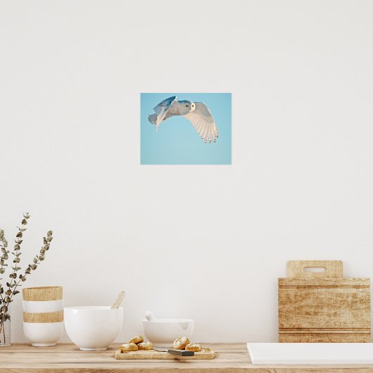 Poster Chouette des neiges en vol (Cuisine)