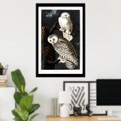 Poster Chouette des neiges, illustration vintage (Bureau à domicile)