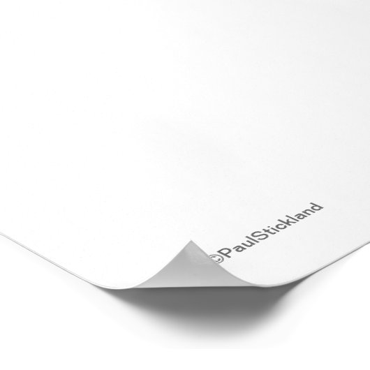 Poster Chouette drôle (Coin)