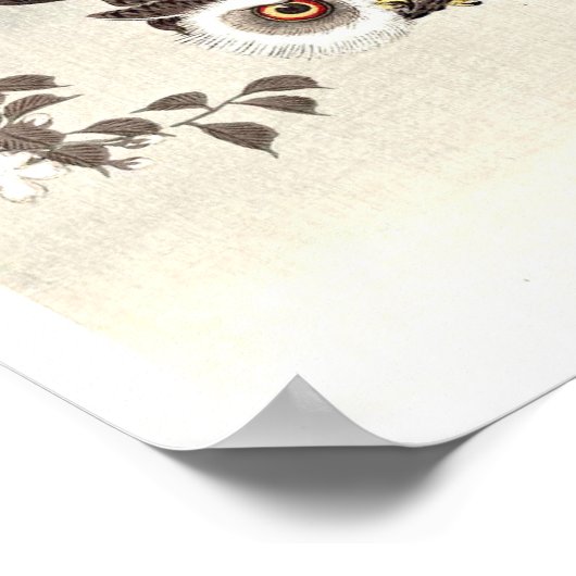 Poster Chouette, fleurs de cerisiers et lune (Coin)
