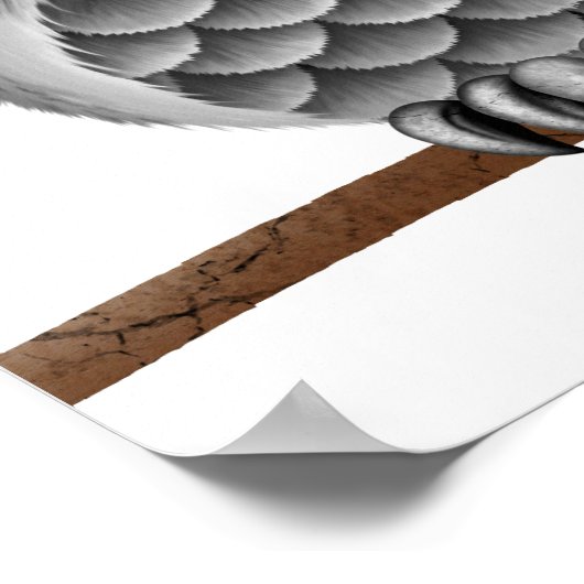 Poster Chouette grise à pâte molle sur une branche, Arriè (Coin)