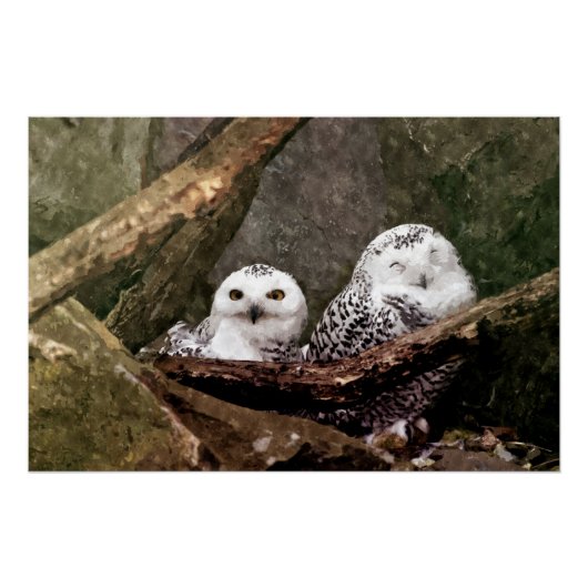 Poster Chouette Harfang Couple Art Bois Faune (Devant)