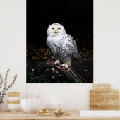 Poster Chouette hivernale majestueuse (Cuisine)