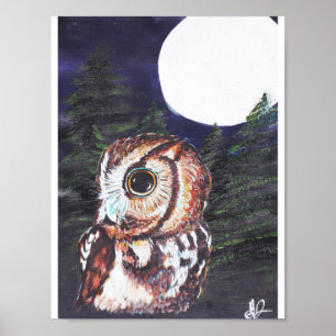 Poster Chouette la nuit