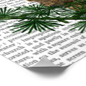 Poster Chouette Lecture Sur Branche (Coin)