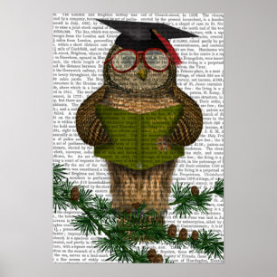 Poster Chouette Lecture Sur Branche