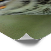 Poster Chouette majestueuse de la Grande Corne (Coin)