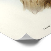 Poster Chouette masquée par Elizabeth Gould (Coin)