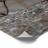 Poster Chouette neige assise sur un rocher (Coin)