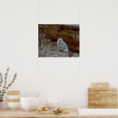 Poster Chouette neige assise sur un rocher (Cuisine)