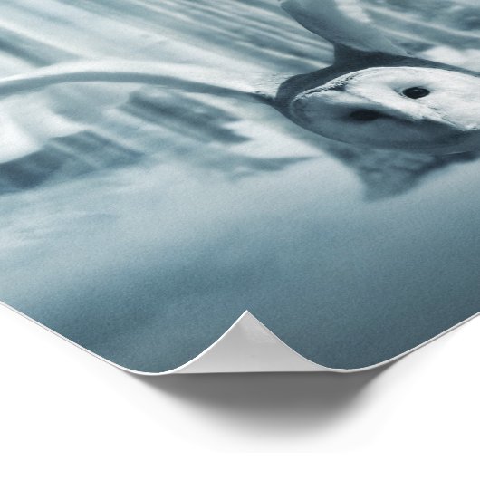 Poster Chouette Neige En Vol (Coin)