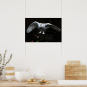 Poster Chouette neigeuse avec wapcna à ailes ouvertes (Cuisine)