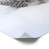 Poster Chouette neigeuse dans l'affiche de neige Imprimer (Coin)
