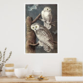 Poster Chouette neigeuse d'Audubon (Cuisine)