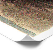 Poster Chouette neigeuse d'Audubon (Coin)