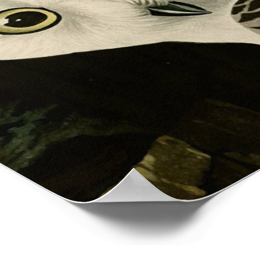 Poster Chouette neigeuse (détail) Audubon Fine Birds Amér (Coin)