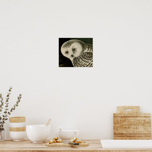 Poster Chouette neigeuse (détail) Audubon Fine Birds Amér (Cuisine)