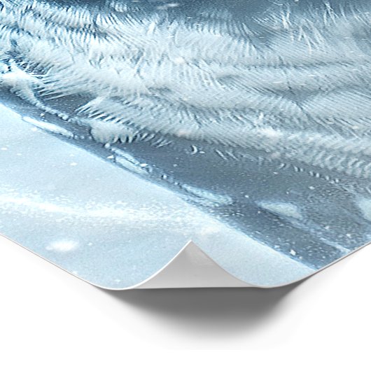 Poster Chouette neigeuse grands yeux (Coin)