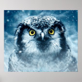 Poster Chouette neigeuse grands yeux (Devant)