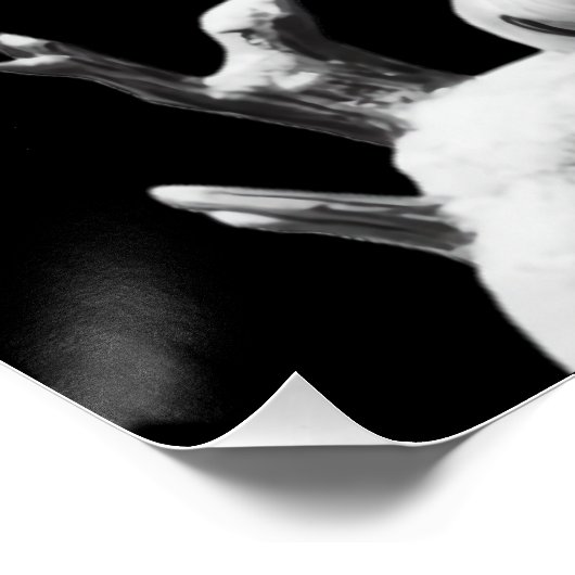 Poster Chouette neigeuse majestueuse perchée (Coin)