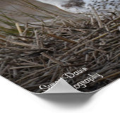 Poster Chouette neigeuse souriante (Coin)