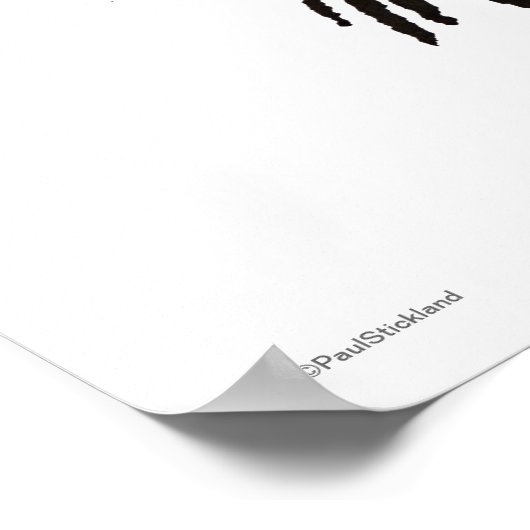 Poster Chouette nocturne drôle (Coin)