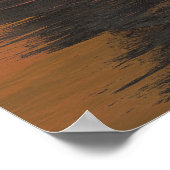 Poster Chouette pygmée (Coin)