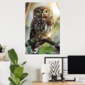 Poster Chouette pygmée du Pernambuco (Bureau à domicile)