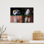 Poster Chouettes (Cuisine)