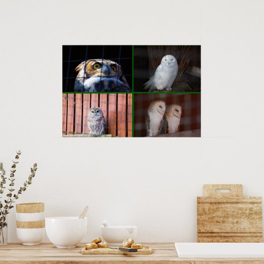 Poster Chouettes (Cuisine)