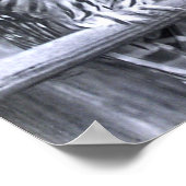 Poster Chouettes barrées (Coin)