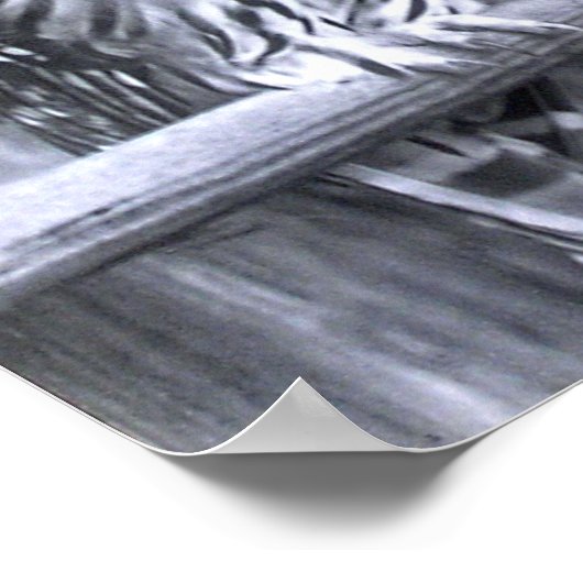 Poster Chouettes barrées (Coin)