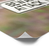 Poster Chouettes bractées 05-09 011 (Coin)