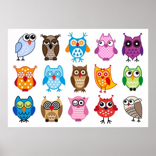 Poster Chouettes colorées (Devant)