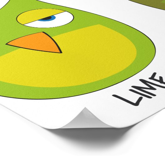 Poster Chouettes colorées / Chouettes colorées (Coin)