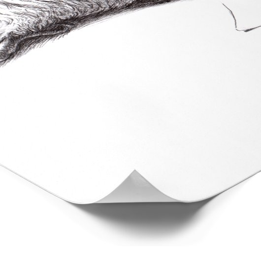 Poster Chouettes d'art (Coin)