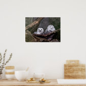 Poster Chouettes mignonnes (Cuisine)