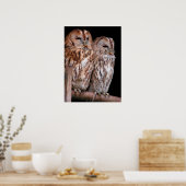Poster Chouettes tawny (Cuisine)