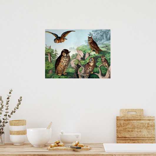 Poster Chouettes Vintages (Cuisine)