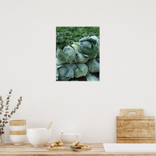 Poster Choux (Cuisine)