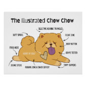 POSTER CHOW ILLUSTRÉ (Devant)