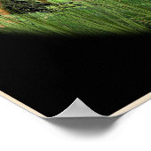 Poster chrétien (Coin)