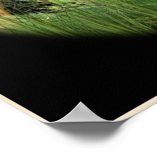 Poster chrétien (Coin)