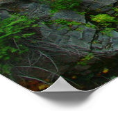 Poster Christine Falls (Coin)